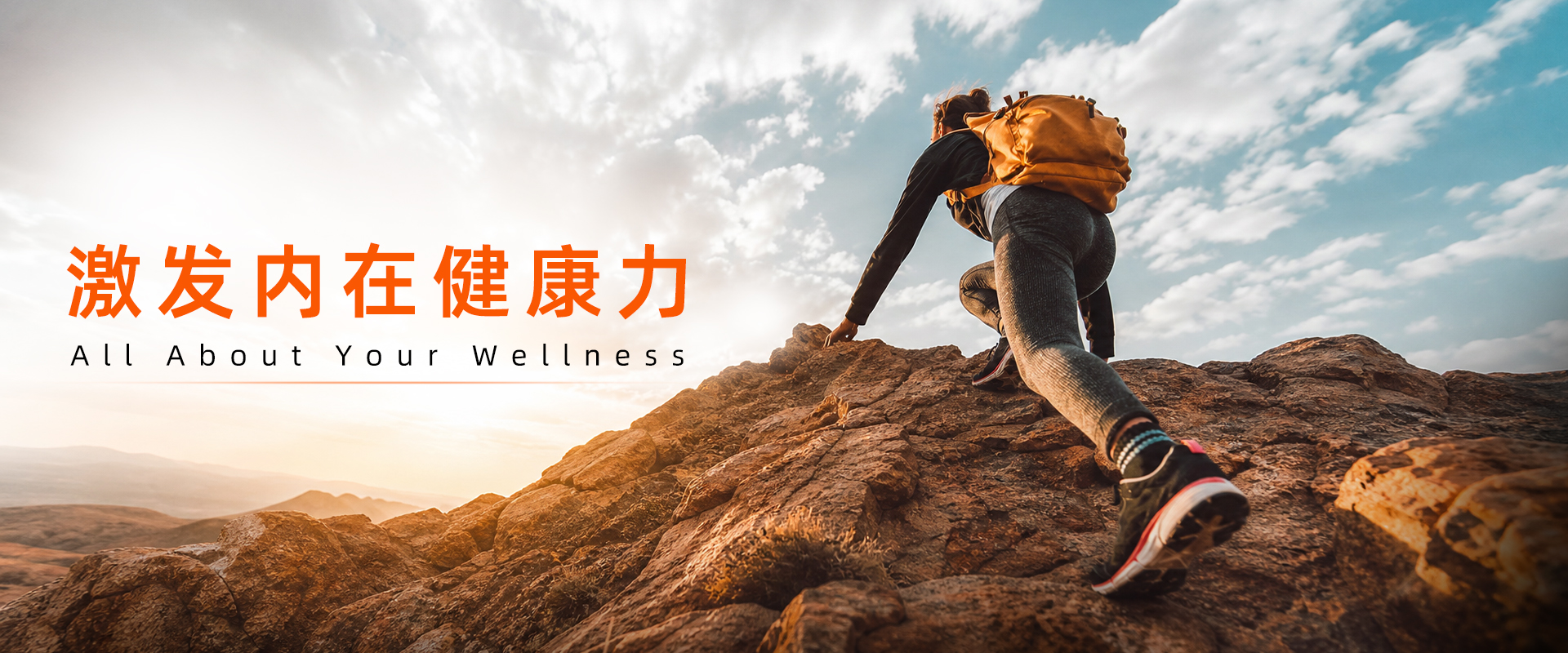 AAYW 首页